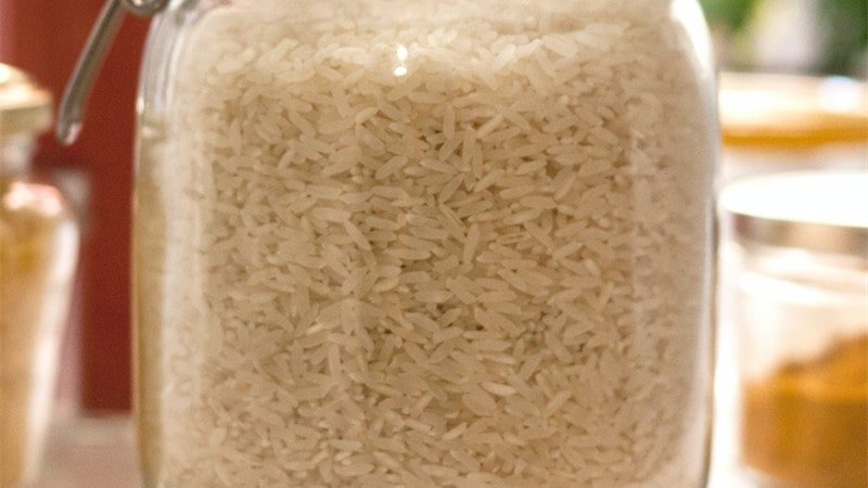 does rice turn into maggots
